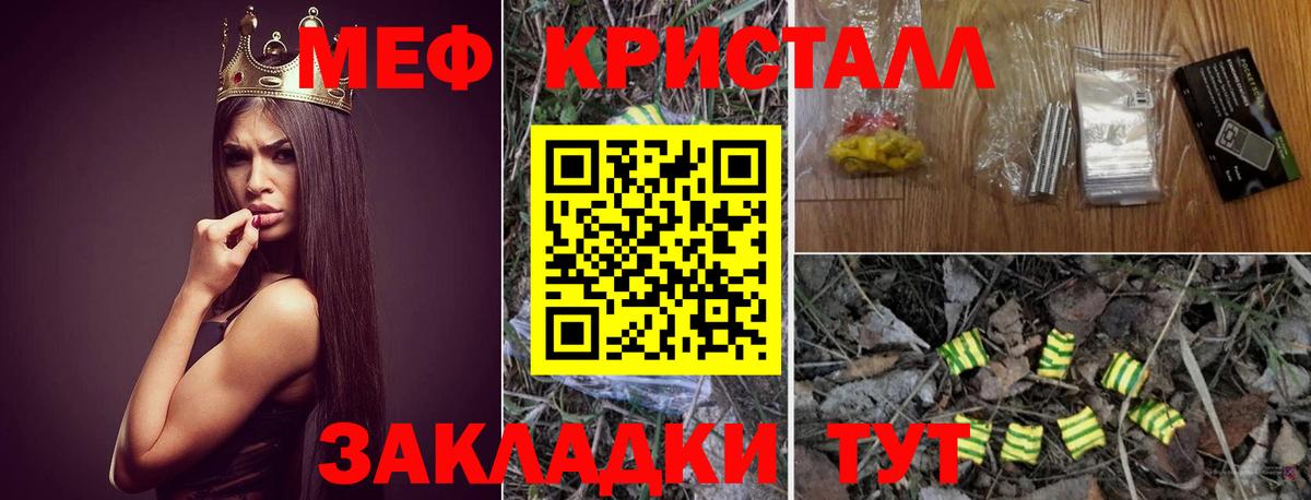МЕФ  Луга